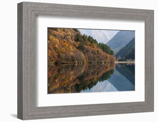 Jiuzhaigou on the Edge of the Tibetan Plateau, known for its Waterfalls and Colourful Lakes-Alex Treadway-Framed Photographic Print