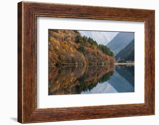 Jiuzhaigou on the Edge of the Tibetan Plateau, known for its Waterfalls and Colourful Lakes-Alex Treadway-Framed Photographic Print