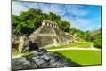 Photographic Print