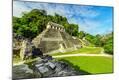 Photographic Print