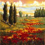 Tuscany in Bloom I-JM Steele-Premier Image Canvas