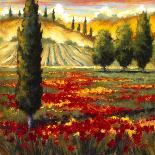 Tuscany in Bloom I-JM Steele-Framed Premier Image Canvas