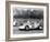 Jo Bonnier Driving a Works Porsche Formula 1 Car, Brussels Grand Prix, Belgium, 1961-null-Framed Photographic Print