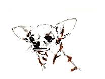 Big Ears the Chihuahua, 2012-Jo Chambers-Giclee Print