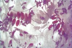 Purple Robinia-Jo Crowther-Giclee Print
