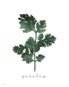 Herbs Art Prints Paintings Posters Framed Wall Artwork For Sale Art Com