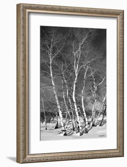 Jo’s Aspens-Barry Hart-Framed Giclee Print