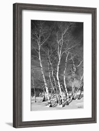 Jo’s Aspens-Barry Hart-Framed Giclee Print