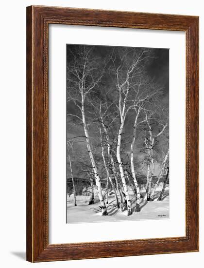 Jo’s Aspens-Barry Hart-Framed Giclee Print