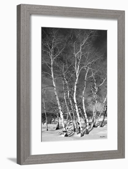 Jo’s Aspens-Barry Hart-Framed Giclee Print