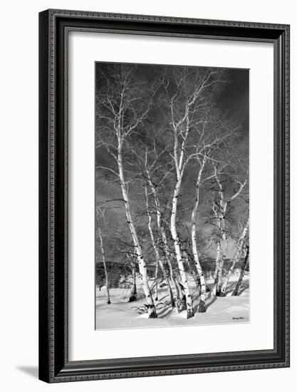 Jo’s Aspens-Barry Hart-Framed Giclee Print