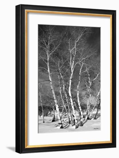 Jo’s Aspens-Barry Hart-Framed Giclee Print