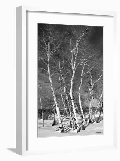 Jo’s Aspens-Barry Hart-Framed Giclee Print