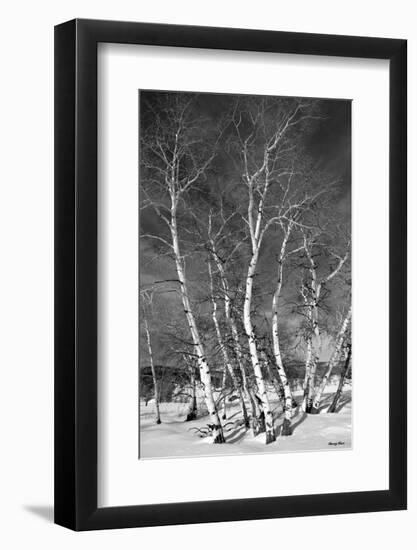 Jo’s Aspens-Barry Hart-Framed Art Print