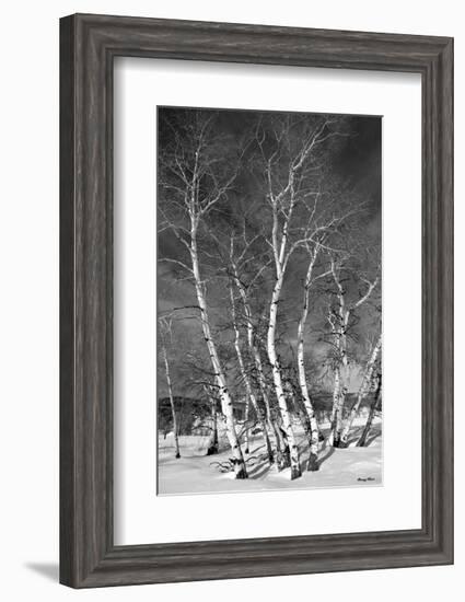 Jo’s Aspens-Barry Hart-Framed Art Print