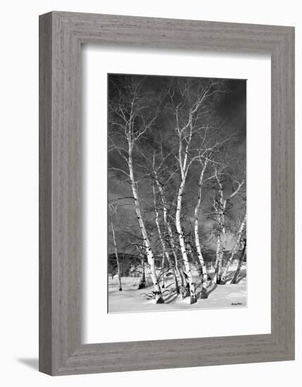 Jo’s Aspens-Barry Hart-Framed Art Print