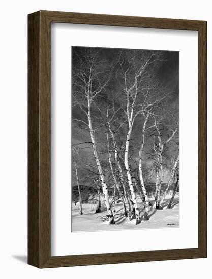 Jo’s Aspens-Barry Hart-Framed Art Print