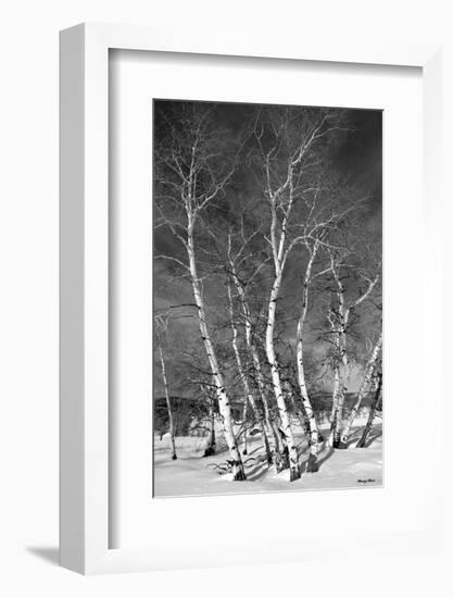 Jo’s Aspens-Barry Hart-Framed Art Print