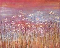 Wild Daisies at Sundown-Jo Starkey-Framed Giclee Print
