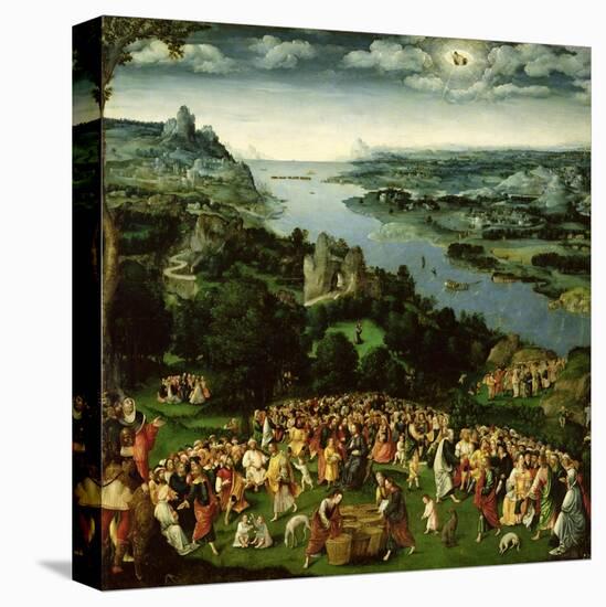 Stretched Canvas Print, , large