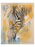 Wildlife Zebra-Joadoor-Art Print