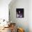 Joan Baez-null-Framed Stretched Canvas displayed on a wall