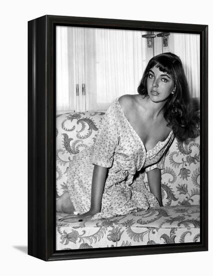 Joan Collins, English actress born May 23rd, 1933, here 1955 (b/w photo)-null-Framed Stretched Canvas