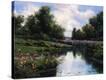 Stretched Canvas Print