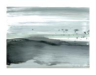 Silver Silence: Dappled Shore-Joan Davis-Art Print