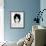 Joan Jett-null-Framed Photo displayed on a wall