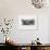 Joan Miro und Katalonien-Joan Miro-Collectable Print displayed on a wall