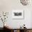 Joan Miro und Katalonien-Joan Miro-Collectable Print displayed on a wall