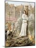 Joan of Arc (1412-1431) French Heroine of the Hundred Years' War-null-Mounted Photo