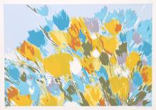 Day Flowers-Joan Paley-Collectable Print