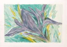 Iris-Joan Paley-Collectable Print