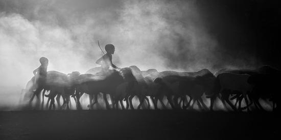 Photographic Print, , large