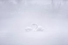 Love in the foggy morning-Joan Zhang-Laminated Photographic Print