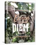 Carpe Diem-Joana Joubert-Giclee Print