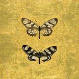 Pair of Butterflies on Gold-Joanna Charlotte-Art Print