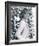 Joanna Lumley-null-Framed Photo