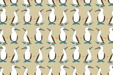 Blue Footed Booby-Joanne Paynter Design-Giclee Print