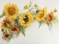 Arch of Sunflowers-Joanne Porter-Giclee Print