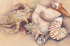 Sea Shells-Joanne Porter-Giclee Print