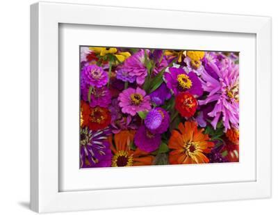 Zinnias Wall Art: Prints, Paintings & Posters | Art.com