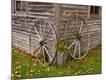 Photographic Print
