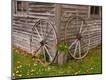 Photographic Print