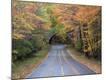 Premium Photographic Print
