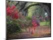 Photographic Print