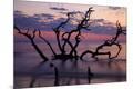 Photographic Print