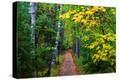 Stretched Canvas Print